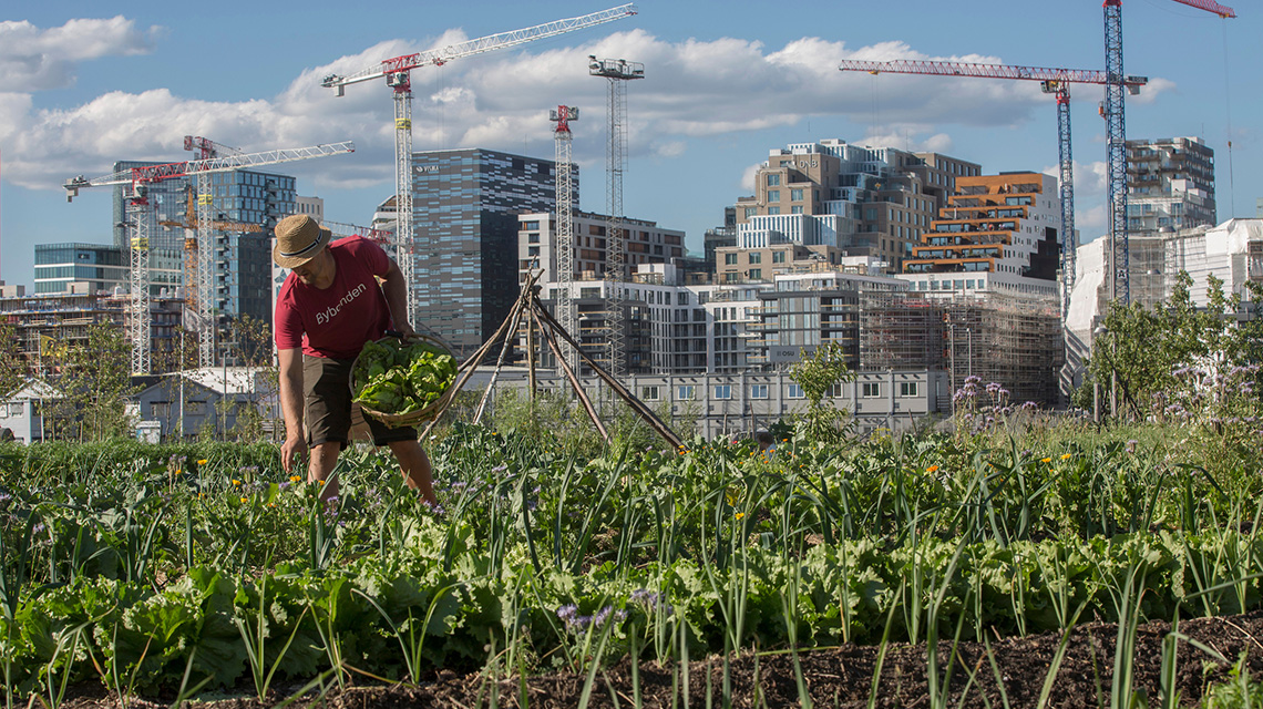 Oslo European Green 2019