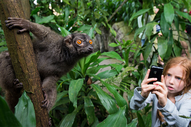 Dinamarca, 13 paradas. Zoo Tropical Randers Regnskov