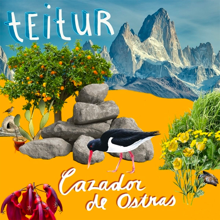 Teitur Cazador de ostras